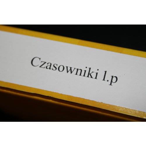 czasowniki-lp2.jpg
